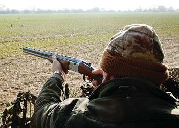 Do you use crow bangers when pigeon shooting?