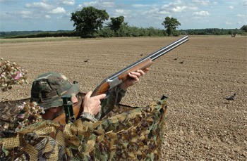What&#8217;s the maximum kill range for pigeon?
