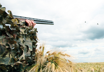 Heat haze stopped me from pigeon shooting!