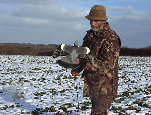 Pigeon shooting: Weathering the elements!