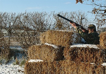pigeon shooting in winter from bail hide.jpg