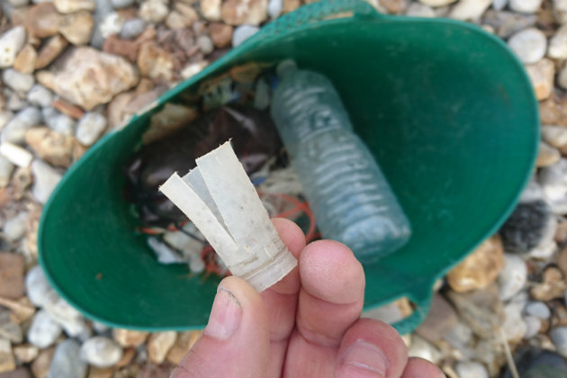 plastic pollution on beach
