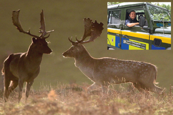 Armed police and wildlife rangers crackdown on poachers