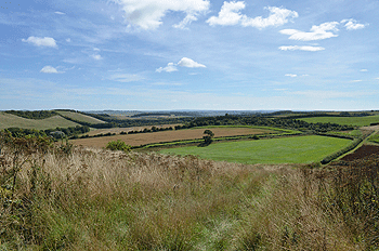 Purdey winner named