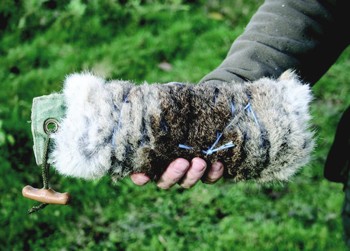 Should I cure rabbit skins before gundog training use?