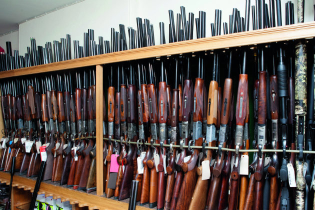 Shooting groups help shape EU firearms review