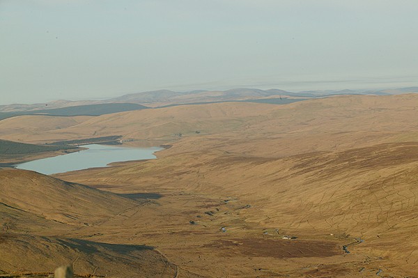 Conservation lost in the Wilderness