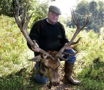 Red stag shooting: £10k cash reward offered