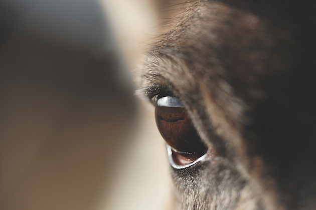 Keeping an eye on you