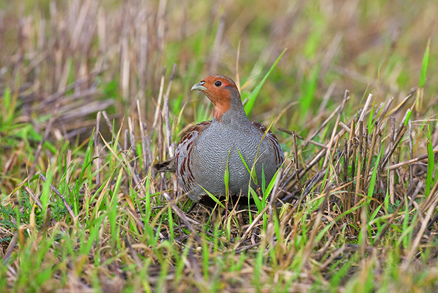 Shooters can help deliver new environmental plan