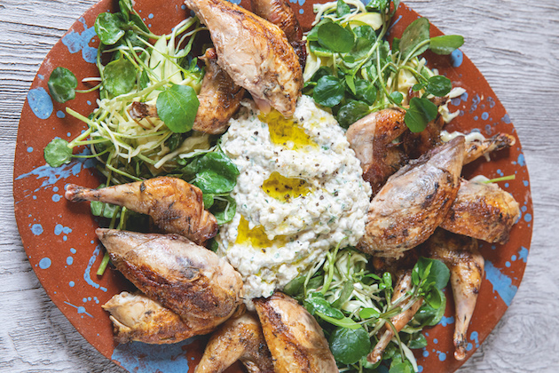 Roasted partridge with moutabal, watercress and white cabbage salad
