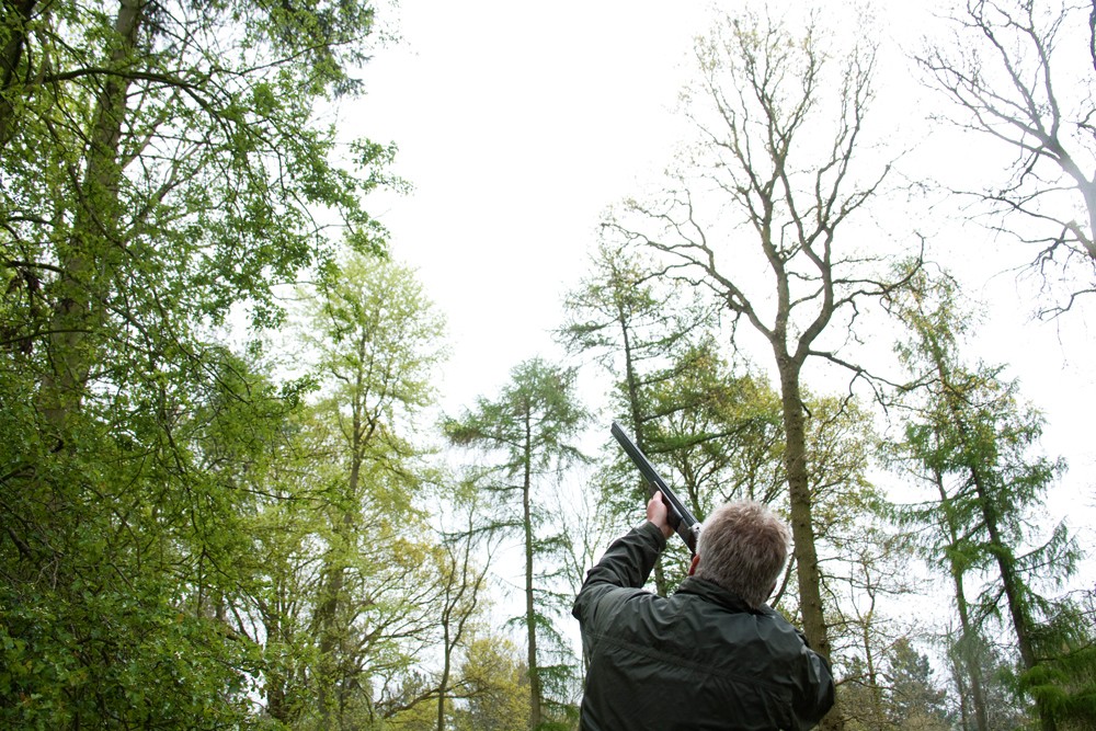 How to improve your roost shooting skills