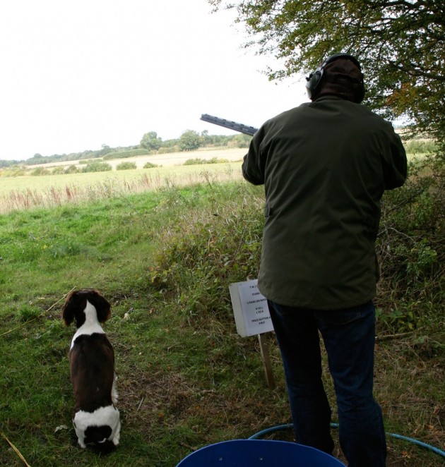 roost shooting tips