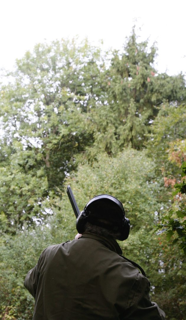 Improve roost shooting