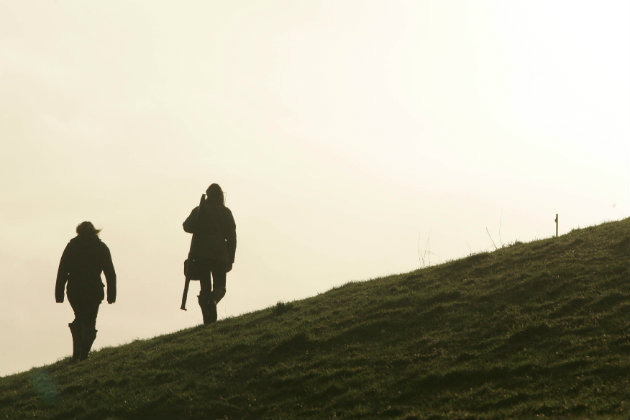How to tackle common species when walked-up shooting