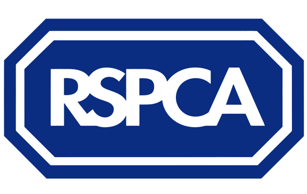 RSPCA trustee candidate compared farming to holocaust