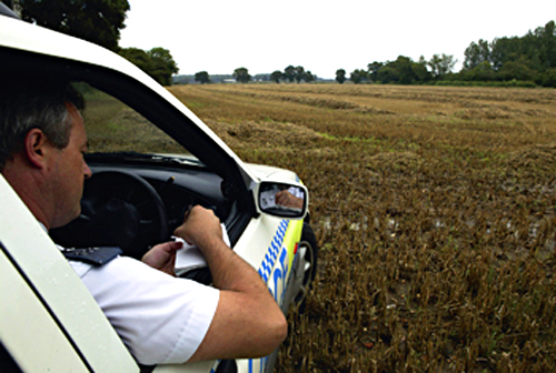 Scale of UK&#8217;s wildlife crime to be examined