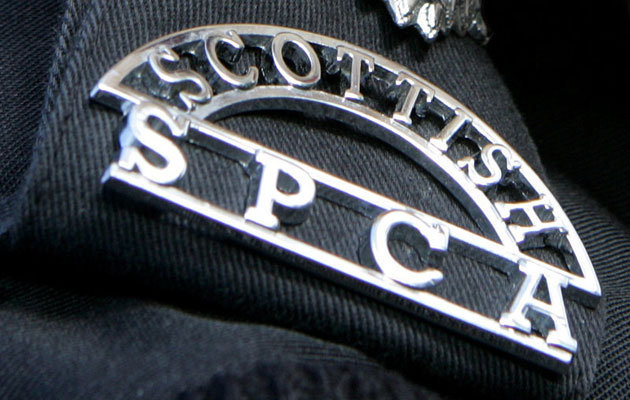 Scottish government could extend charity&#8217;s crime-fighting remit