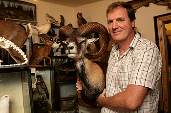 Hail a taxidermist