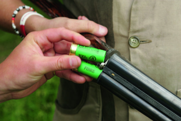 gun cartridges