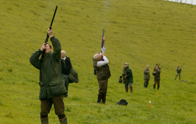 Shoots must focus to make profit, survey says