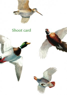 Help fundraise for the GWCT with shoot sweepstake