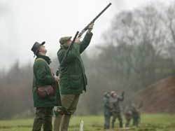 Political correctness harms Welsh shooting