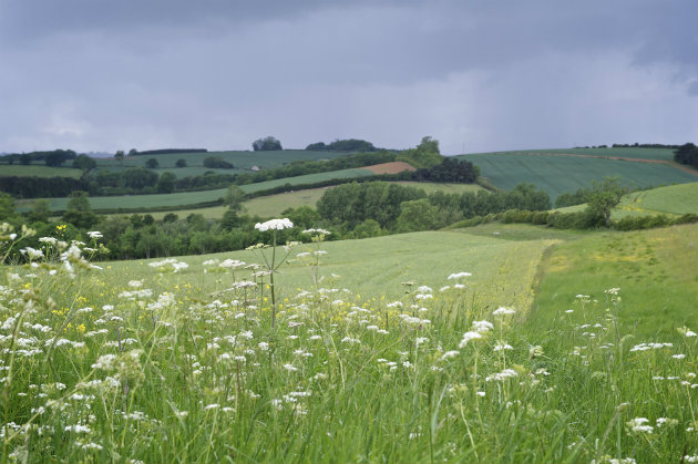 Why funding the GWCT is vital