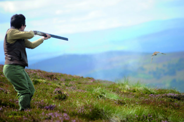 shooting on grouse moor 