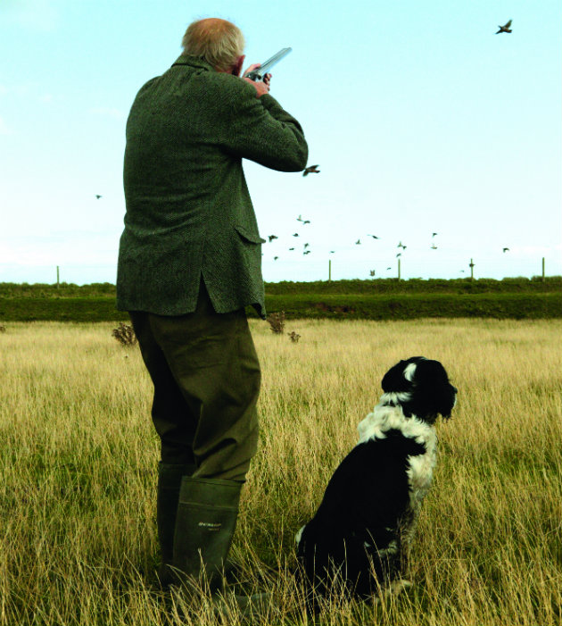 Shooting partridge