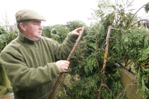 Building pigeon shooting tower 