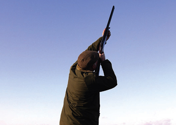 UK WILDLIFE LAWS SET FOR MAJOR OVERHAUL