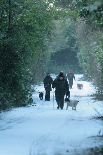 Shooters show their restraint in the cold