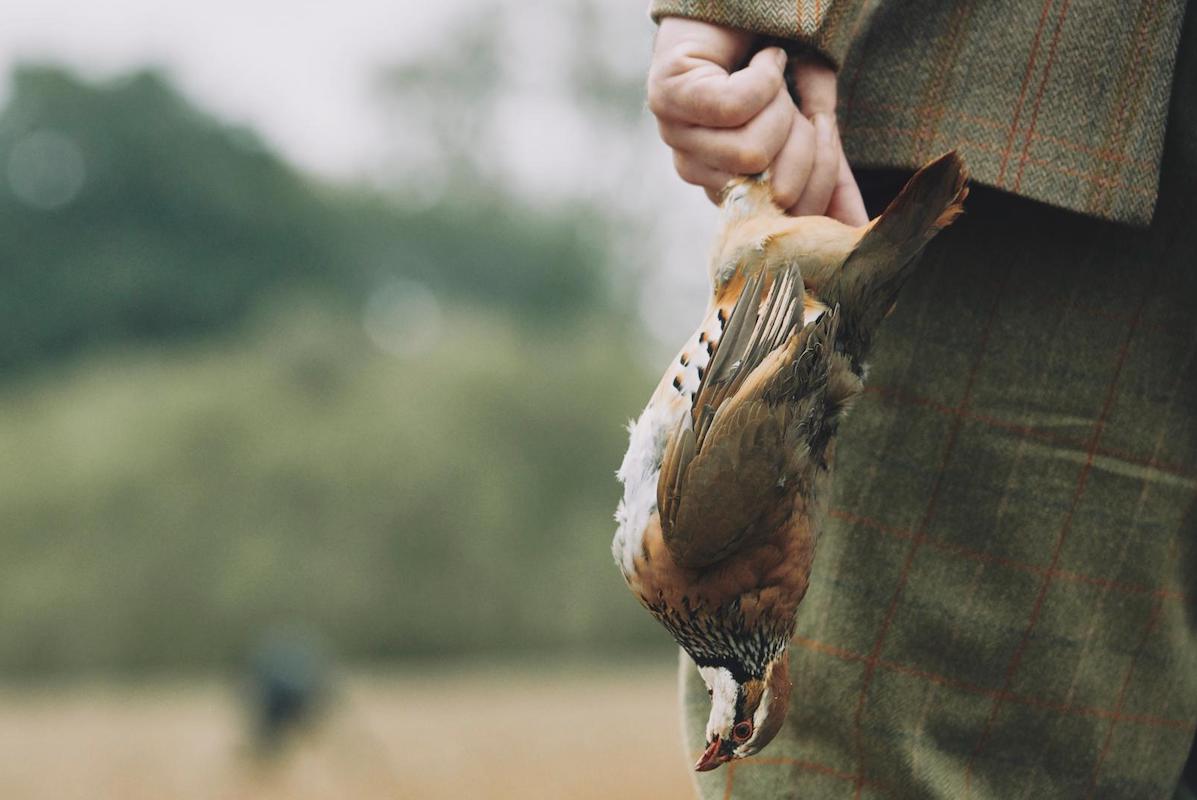 Falling shot: a guide to responsible shooting