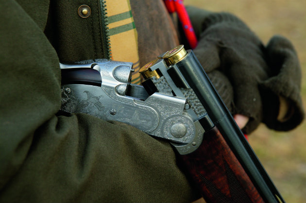 shotgun with cartridges