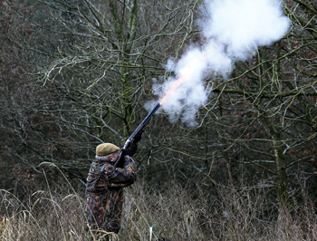 What&#8217;s the best general-purpose weight for a shotgun?