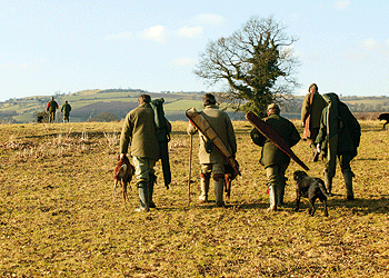 Fieldsports united