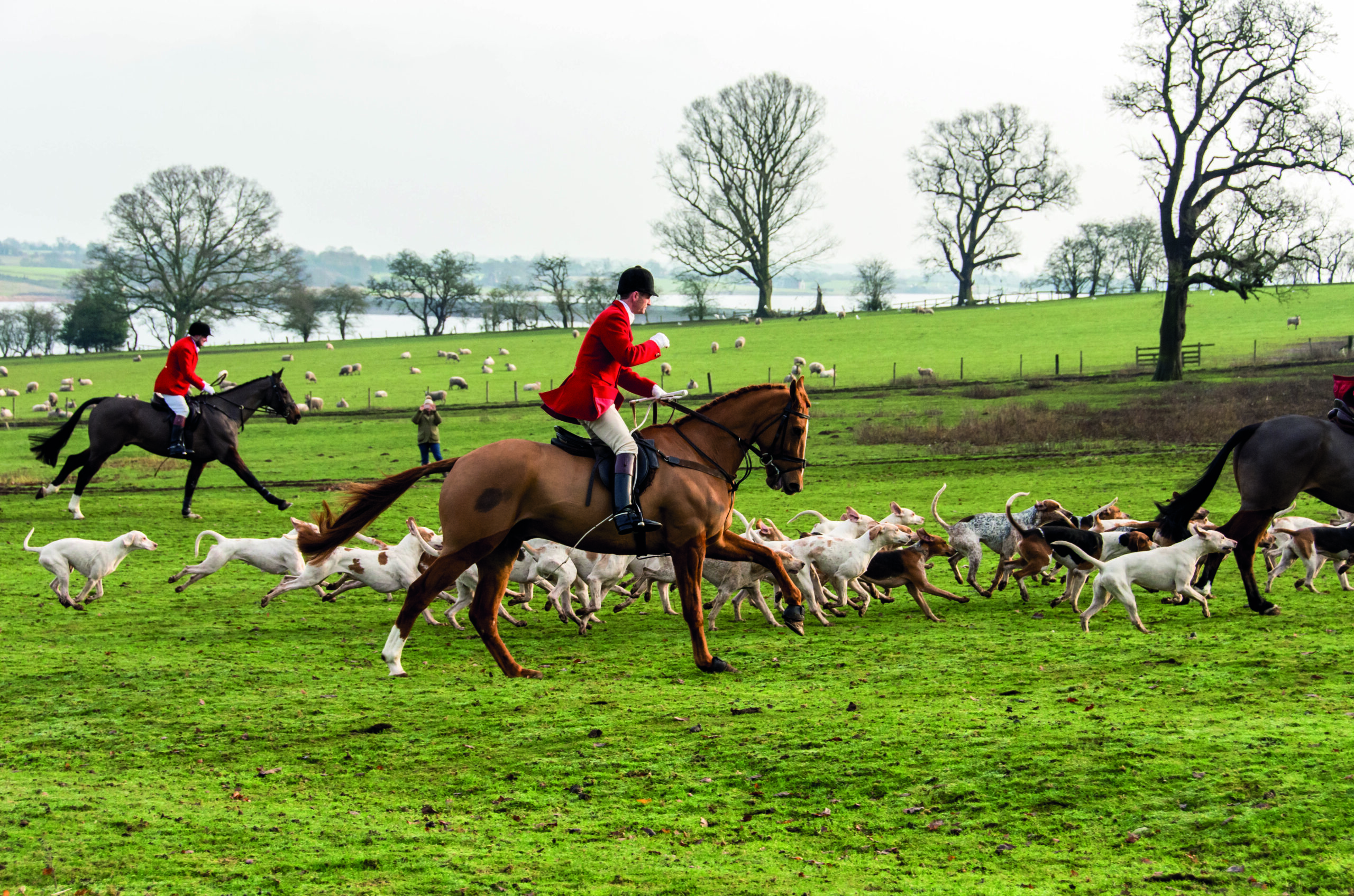 Labour trail-hunt ban fans flames of a ‘culture war’