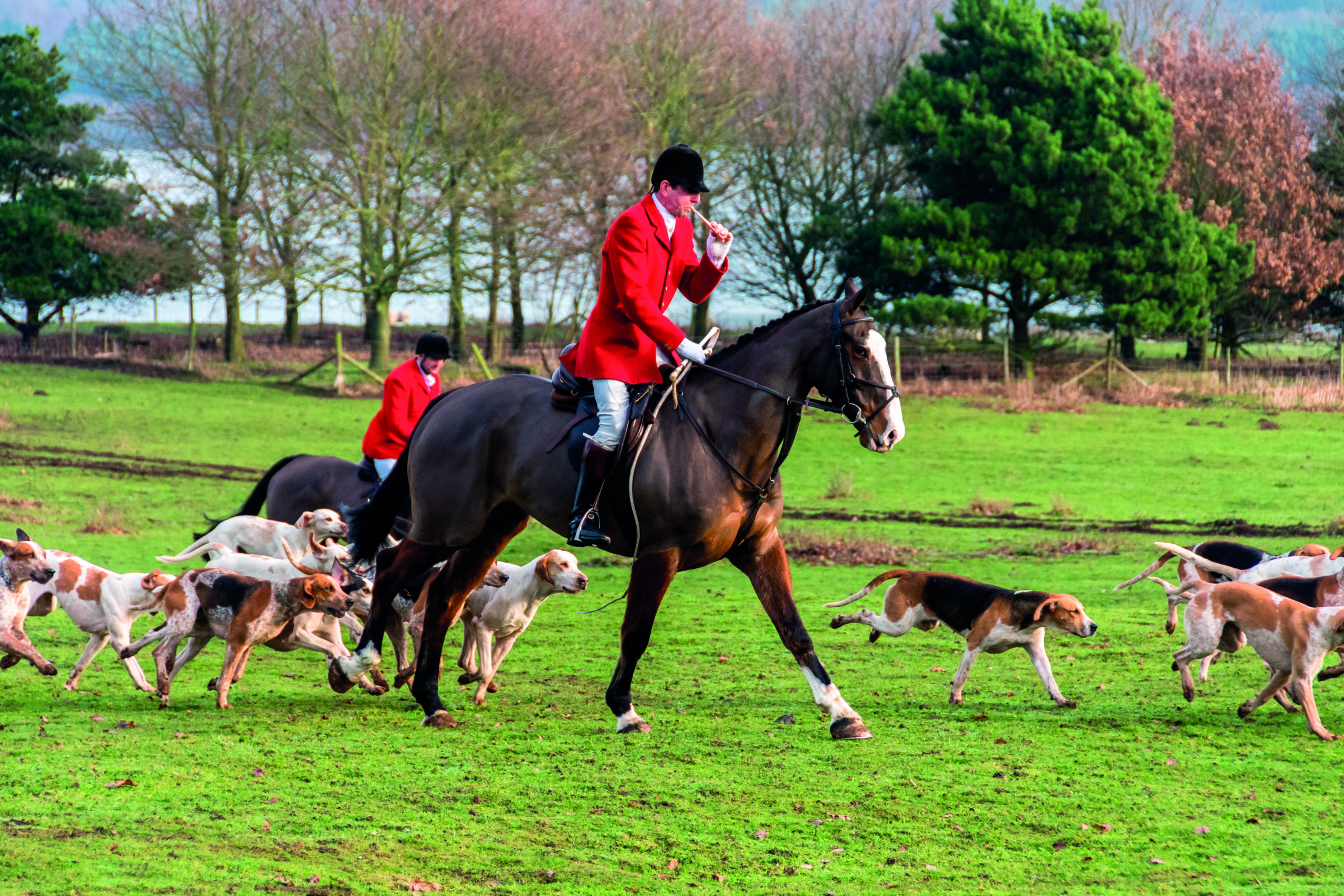 Did £1m donation ‘pay’ for Tony Blair’s hunting ban?
