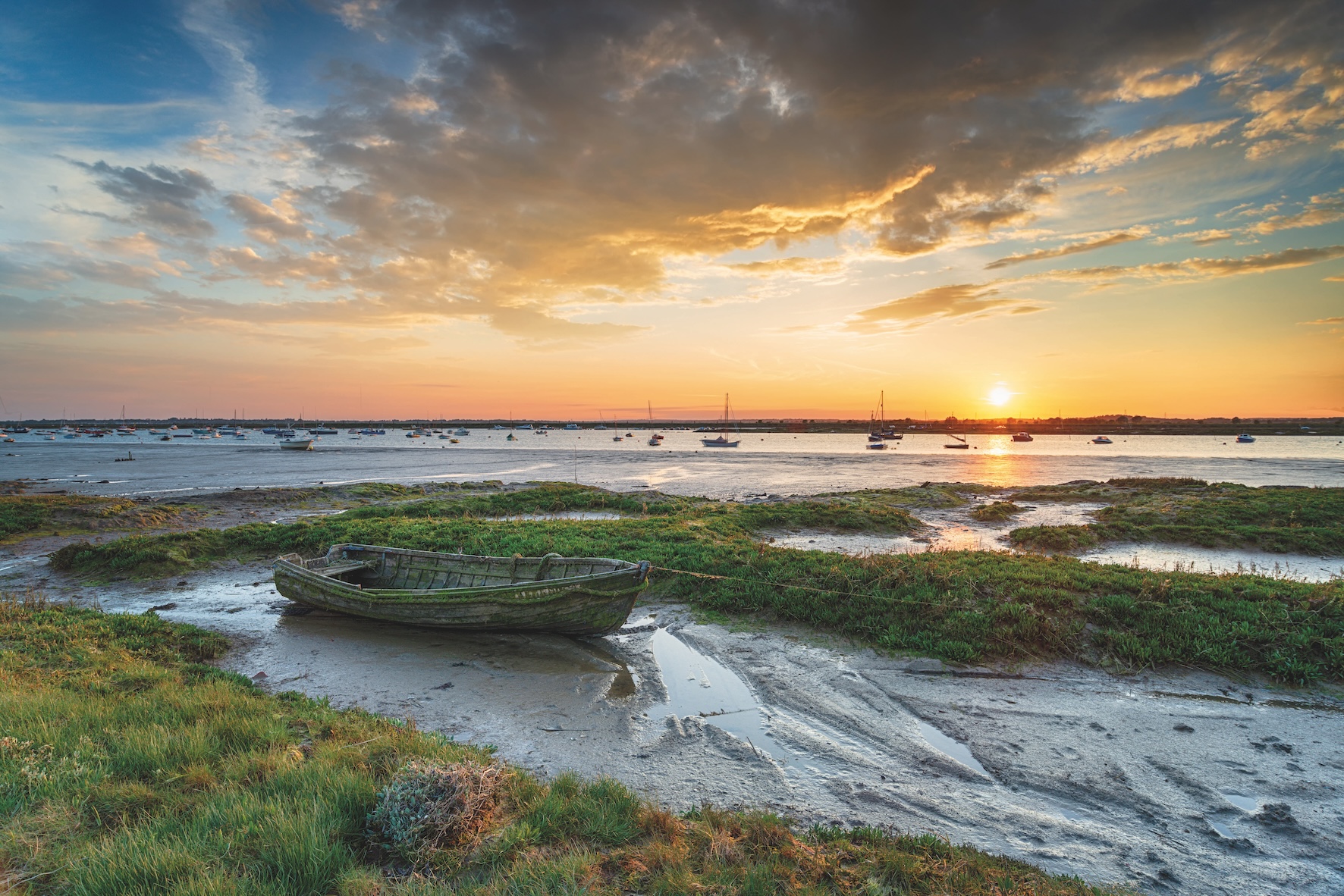 Disappearing saltmarsh is essential for carbon capture