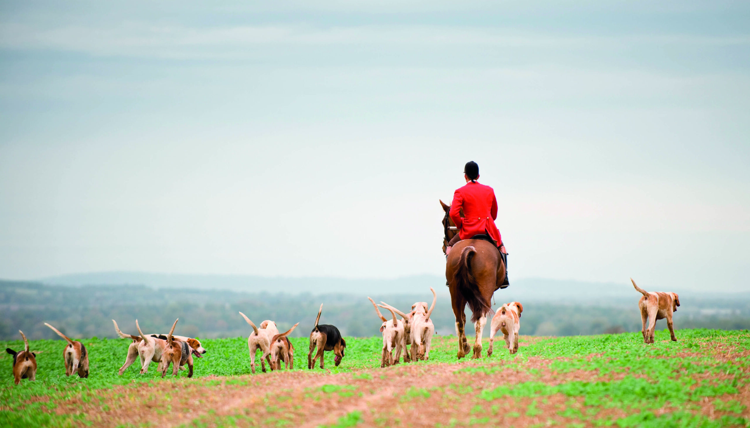 Dorset pack raises £6k for children’s charity