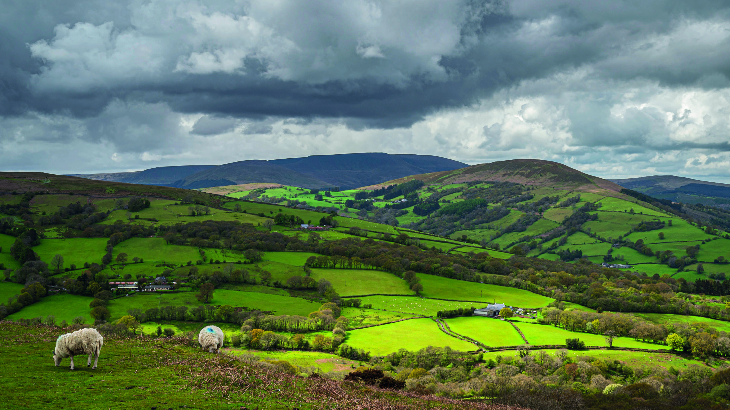 No plans to pause Welsh farming subsidy scheme