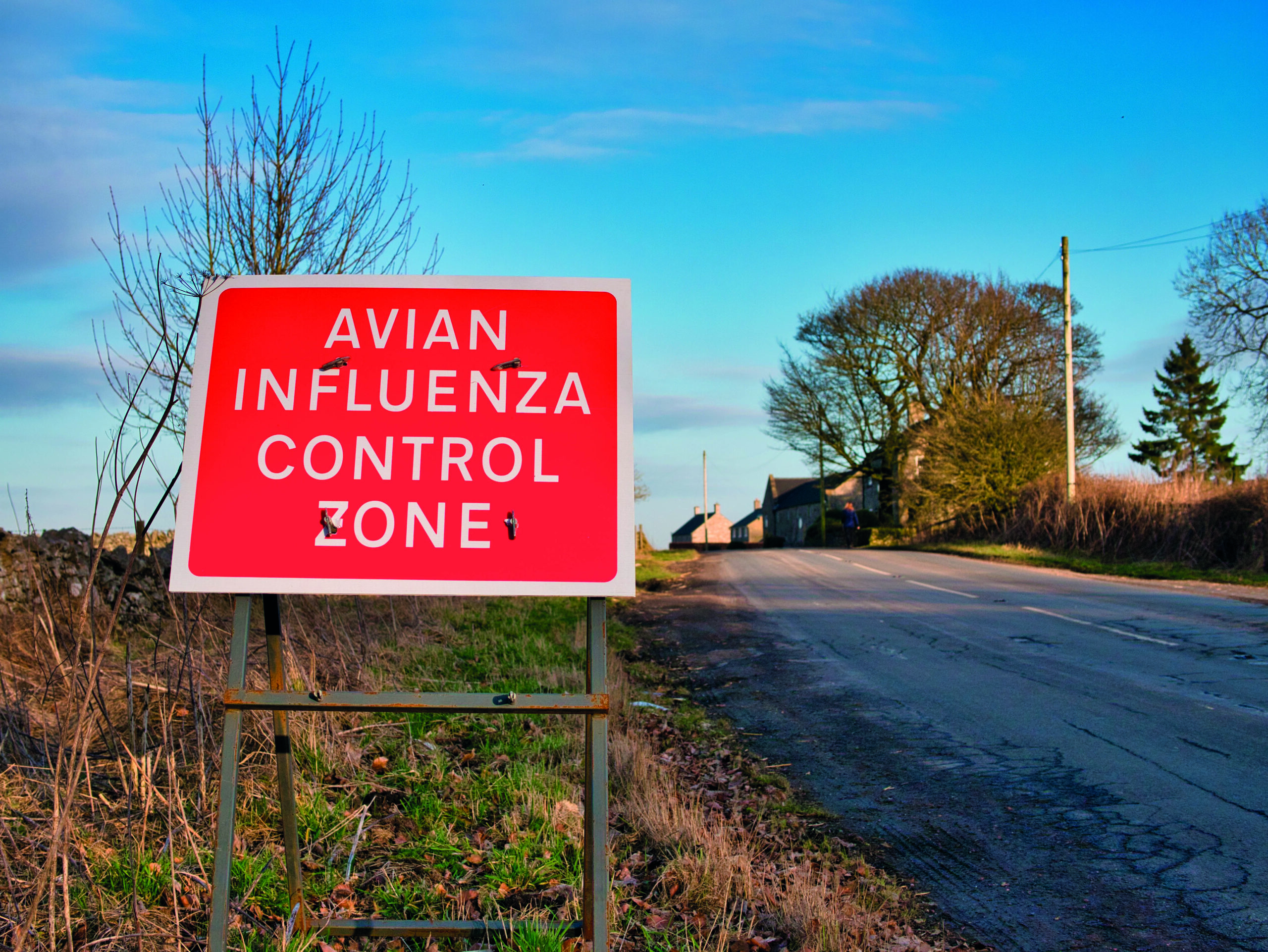 Keepers are urged to stay vigilant on avian influenza