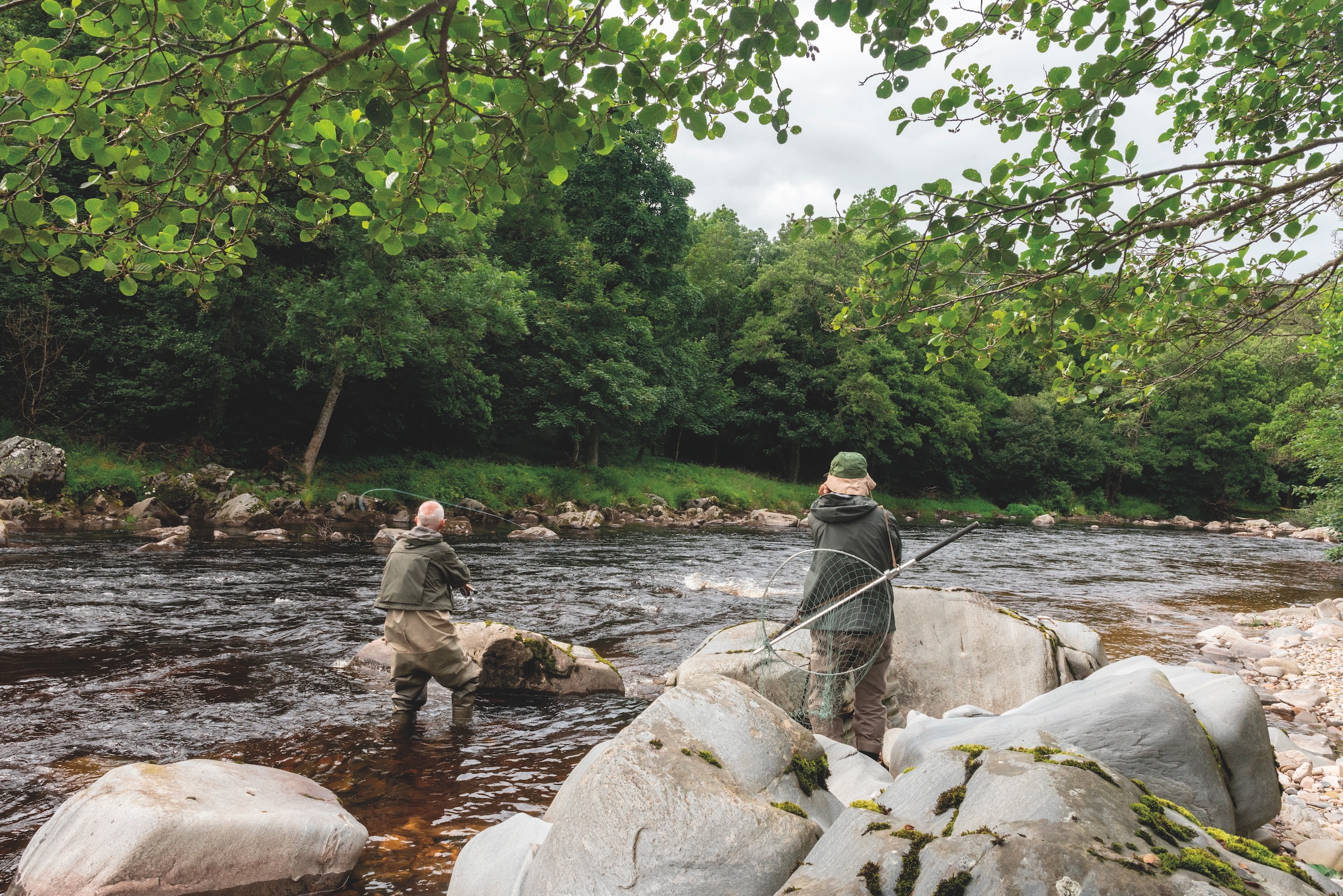 Salmon recovery plan needs action, say gillies