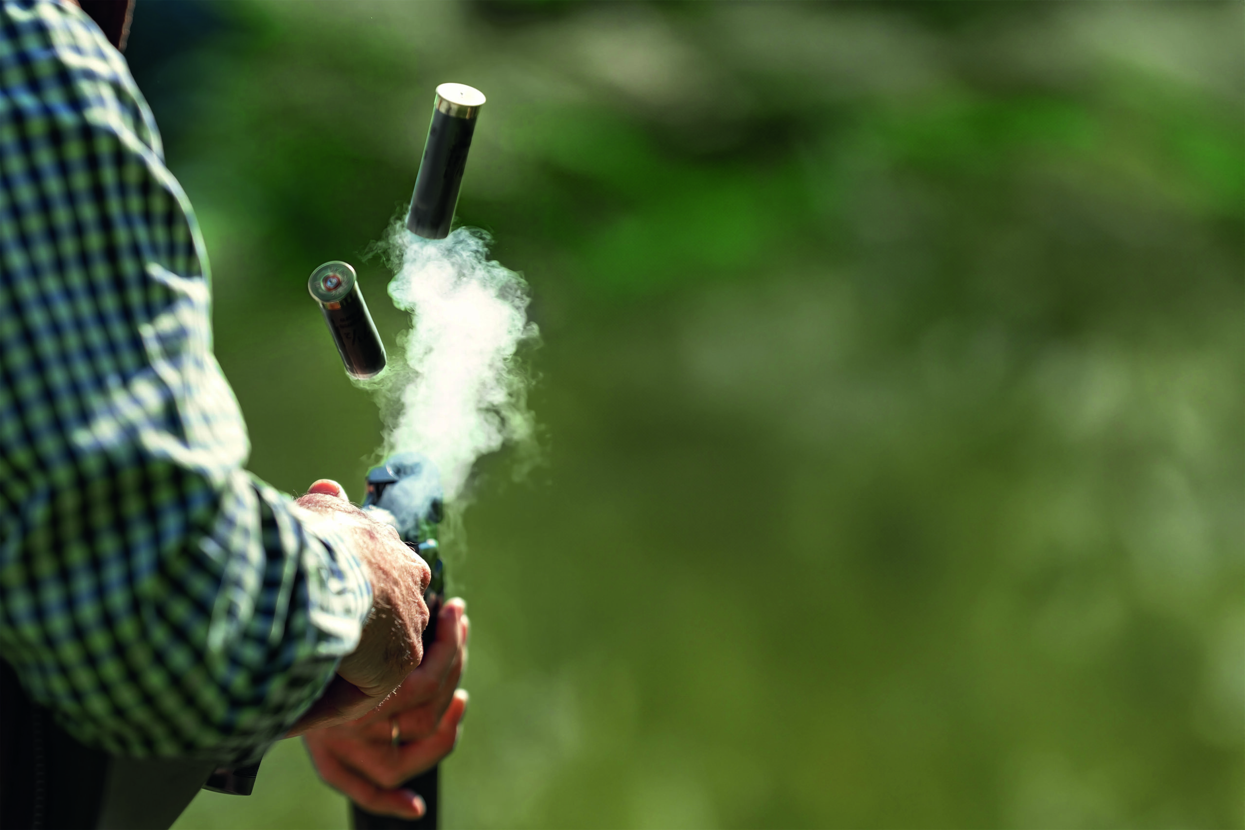 HSE report on  lead ammo will   be in autumn