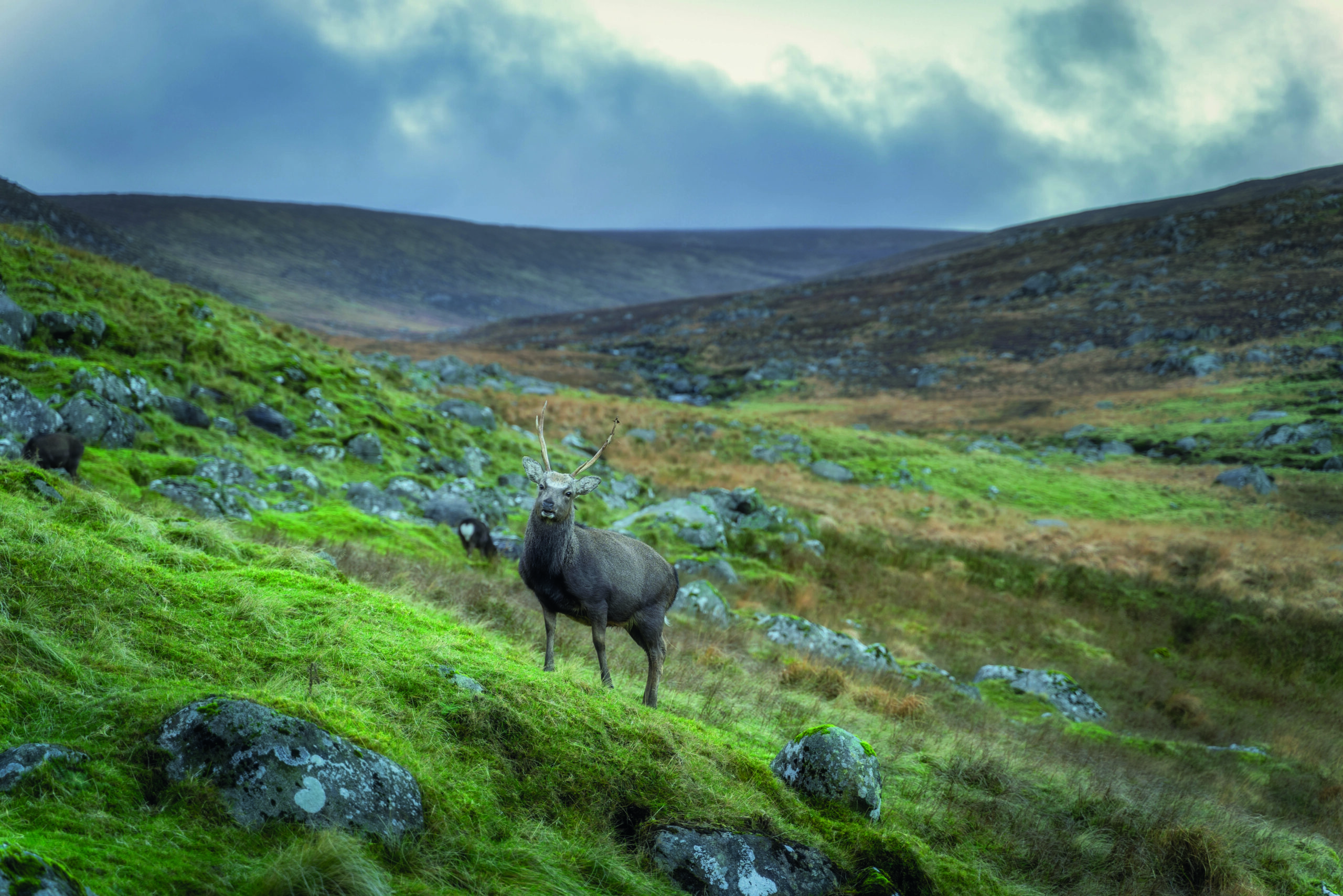 Natural England accused of wasting taxpayers’ money
