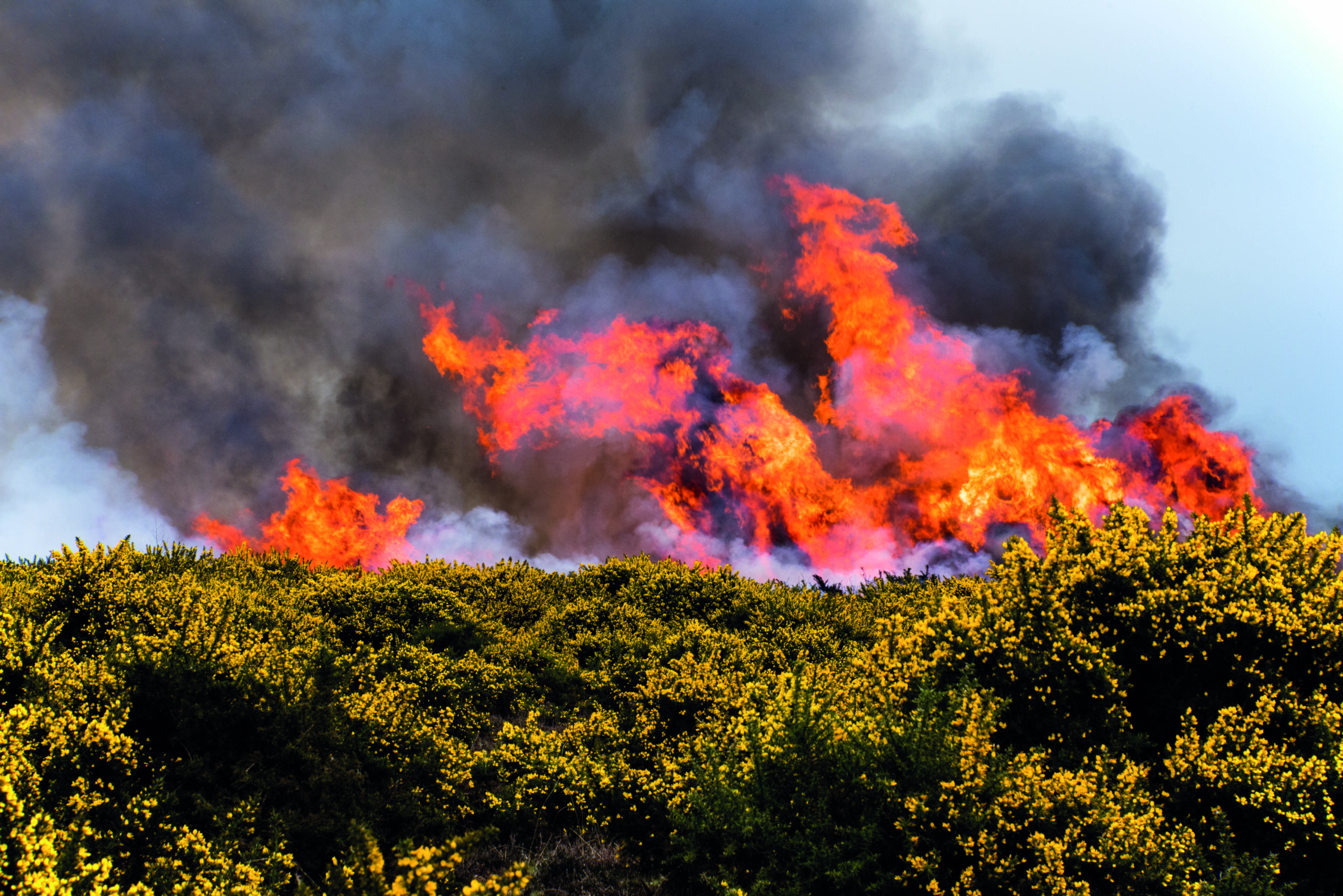 Moorland Association slams Natural England over fires