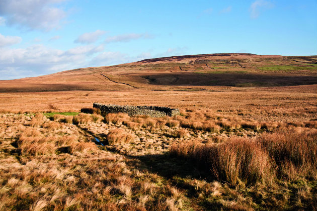 ghyll 