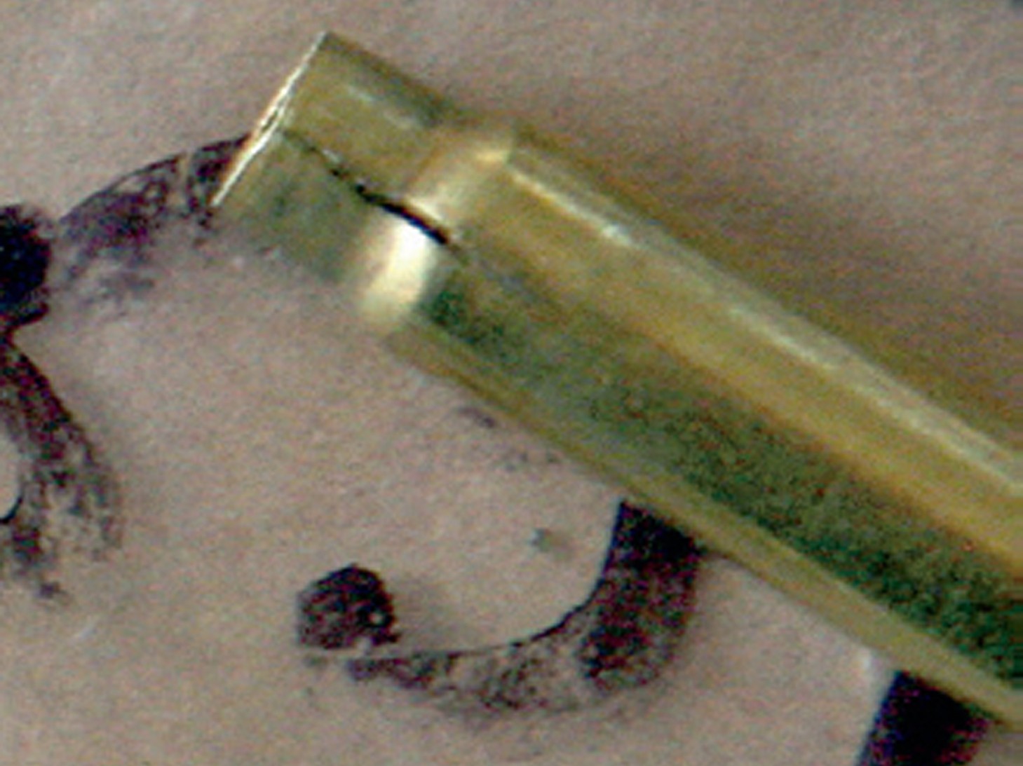 Are these split rifle shells safe?