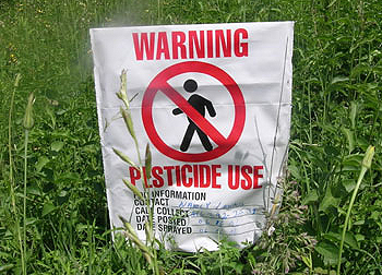 Illegal pesticide amnesty to end